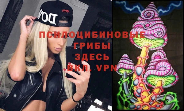 ALPHA PVP Белокуриха
