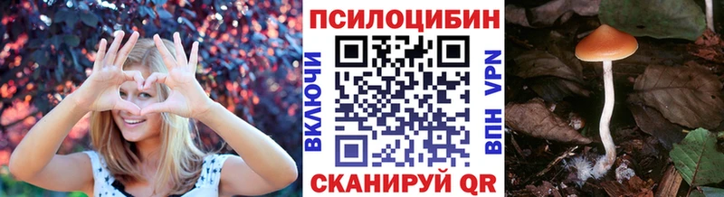 Псилоцибиновые грибы прущие грибы  Костомукша 